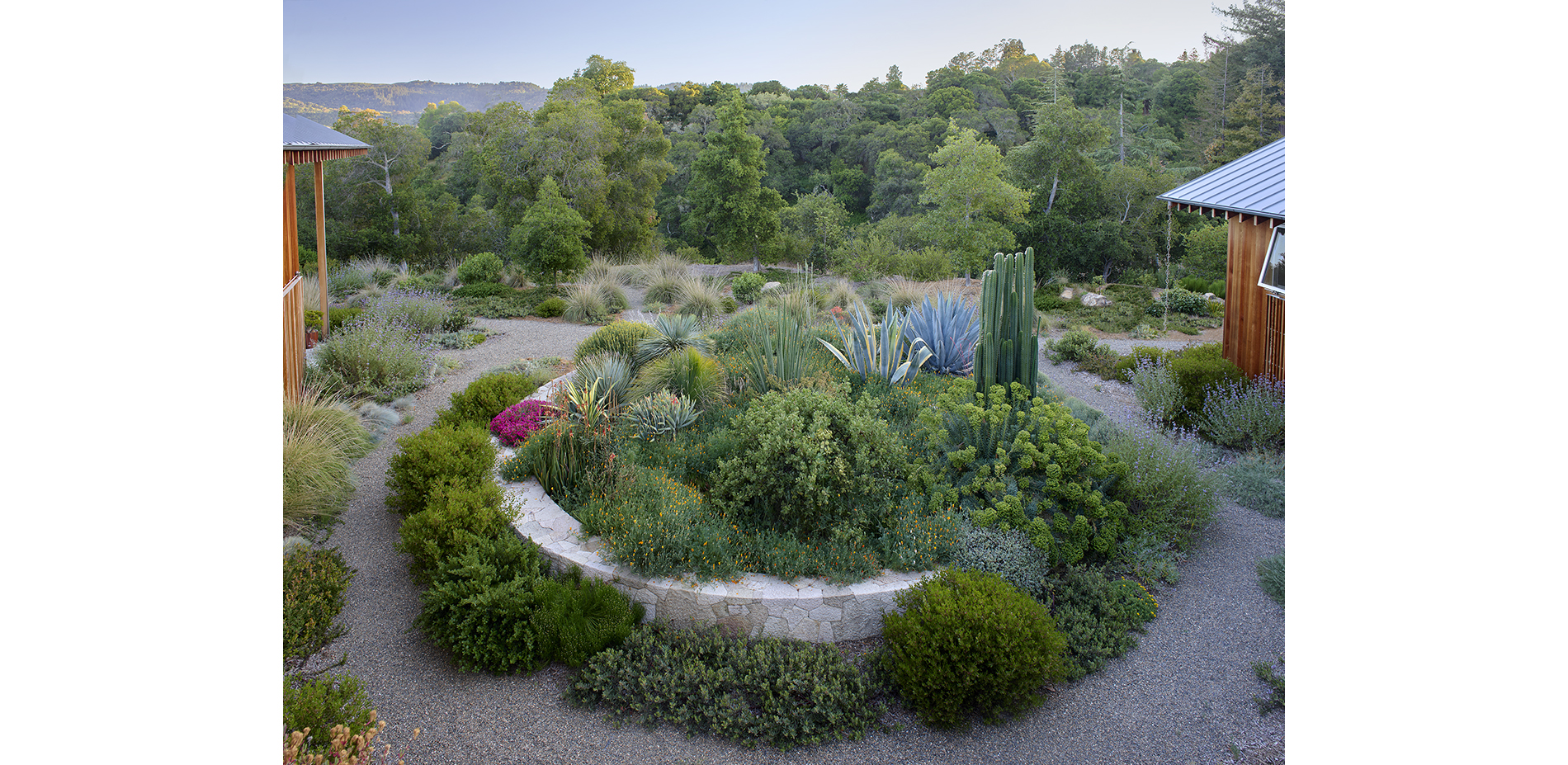 Stone Circle with Succulent Collection